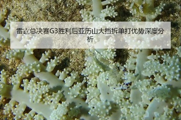 lei-ting-zong-jue-sai-sheng-li-hou-ya-li-shan-da-dang-chai-dan-da-you-shi-shen-du-fen-xi-2-420.jpg